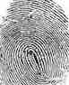 FingerPrint